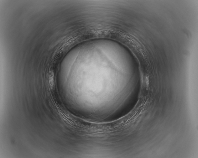 X0000115790963200911131305