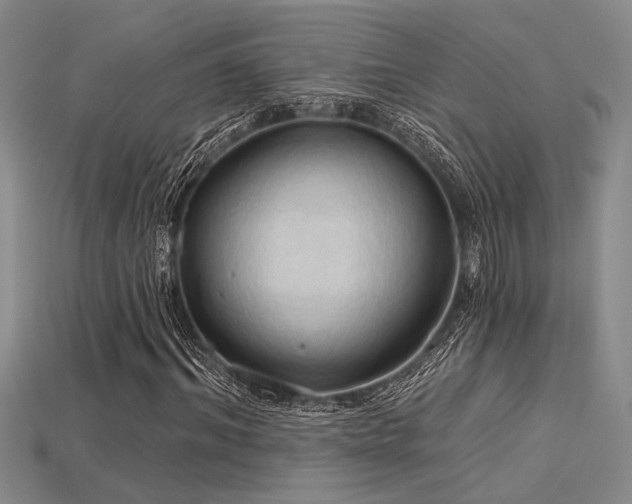 X0000115790964200911131305