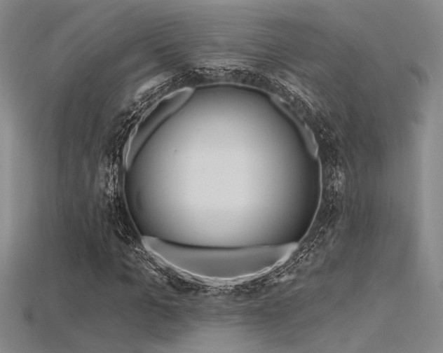 X0000115790965200911131305