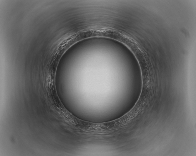 X0000115790966200911131305