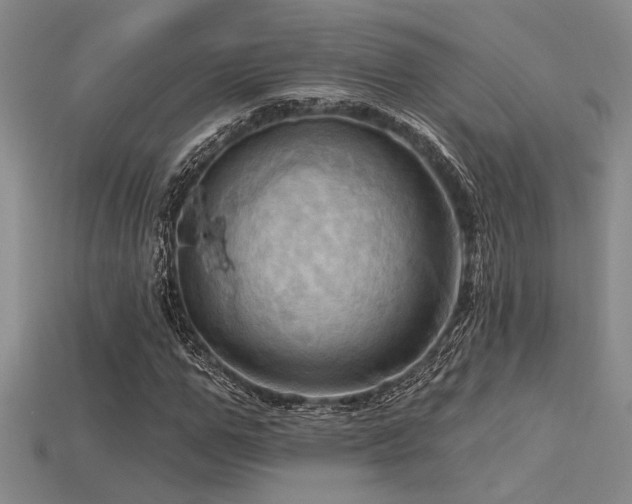 X0000115790967200911131305