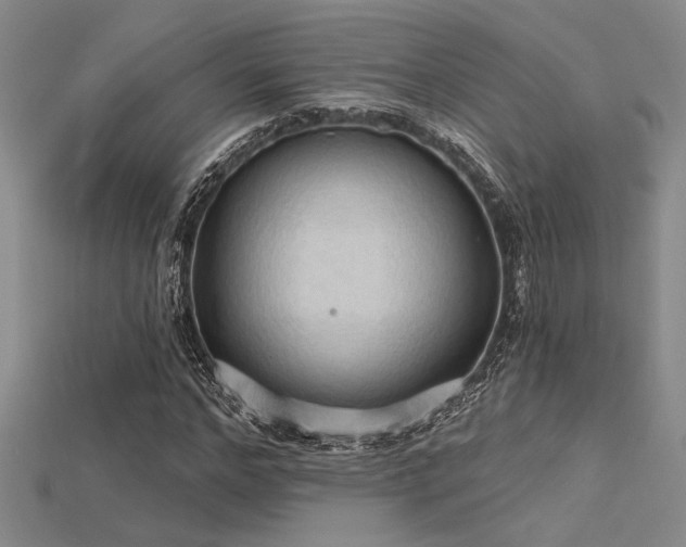 X0000115790968200911131305