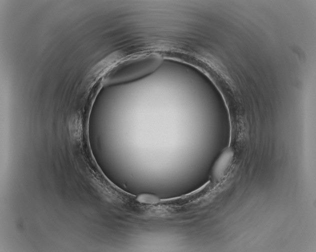 X0000115790969200911131305