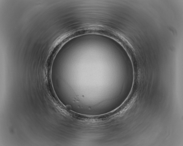 X0000115790970200911131305