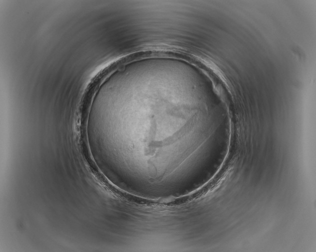 X0000115790971200911131305