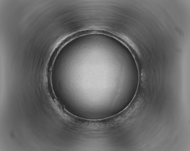 X0000115790972200911131305