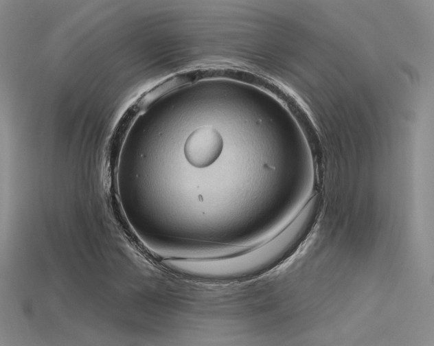 X0000115790973200911131305