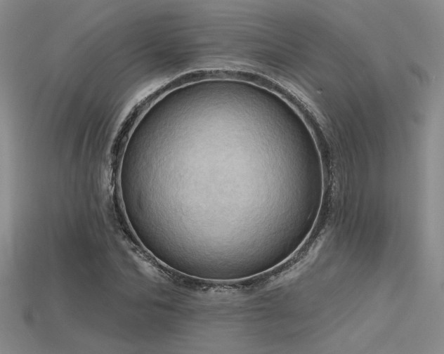 X0000115790974200911131305