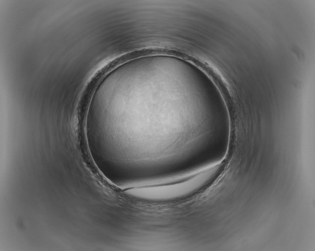 X0000115790975200911131305