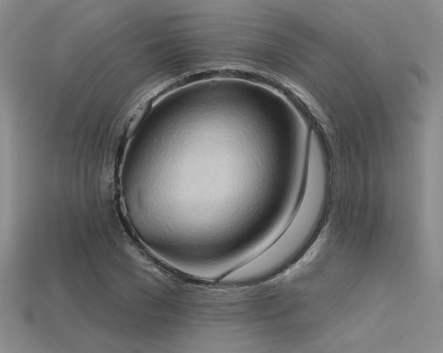 X0000115790977200911131305