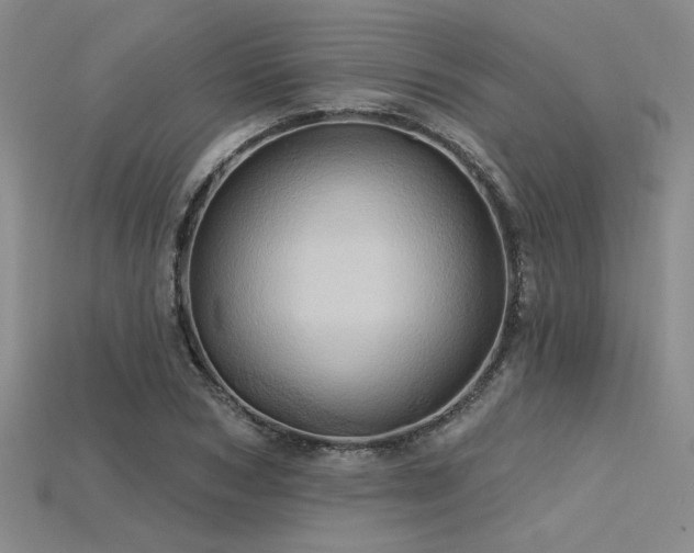 X0000115790978200911131304