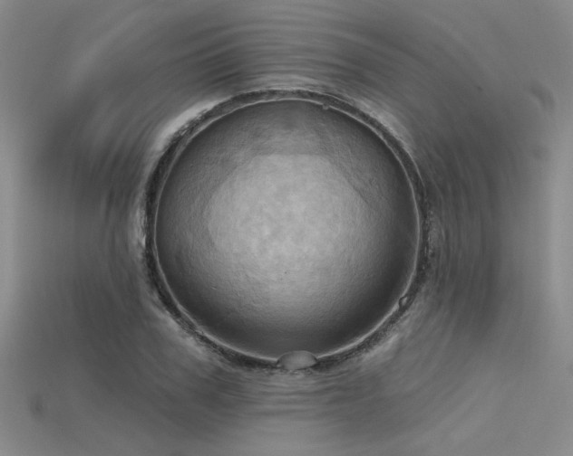 X0000115790979200911131304