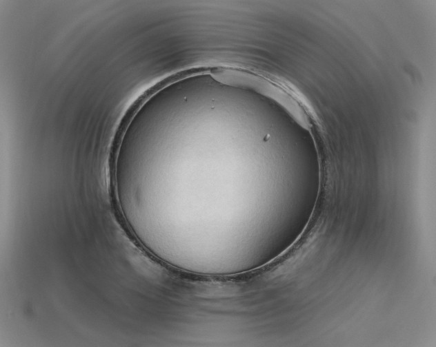 X0000115790980200911131304