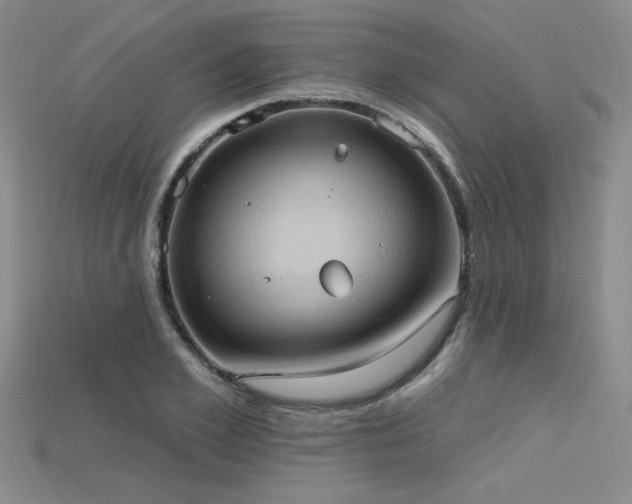 X0000115790981200911131304