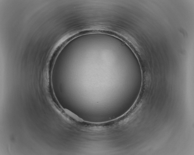 X0000115790982200911131304