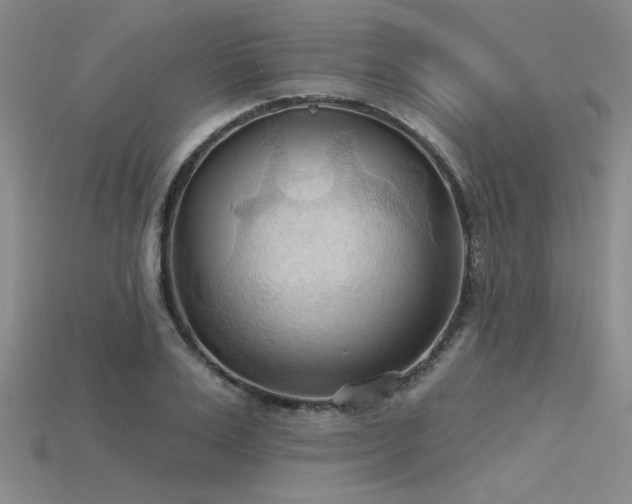 X0000115790983200911131304