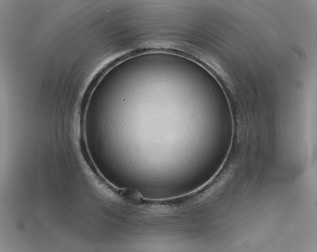 X0000115790984200911131304