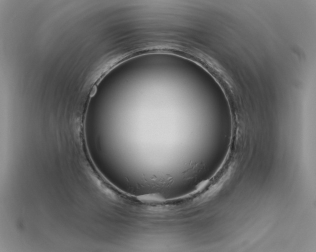 X0000115790985200911131304