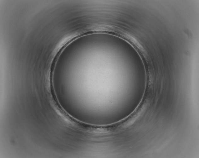 X0000115790986200911131304