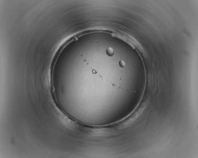 X0000115790988200911131304