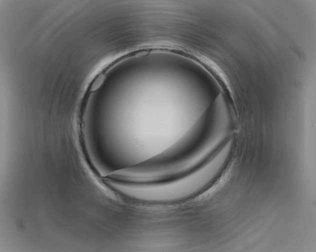 X0000115790989200911131304