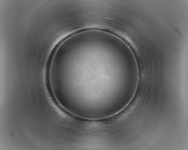 X0000115790991200911131304