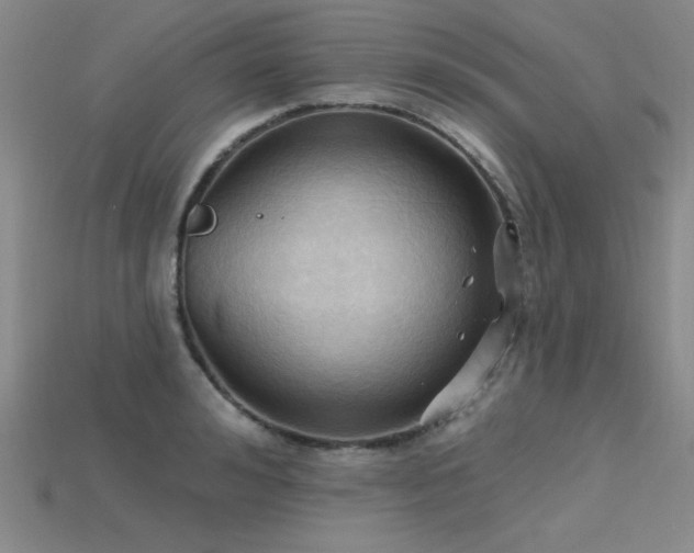 X0000115790992200911131304