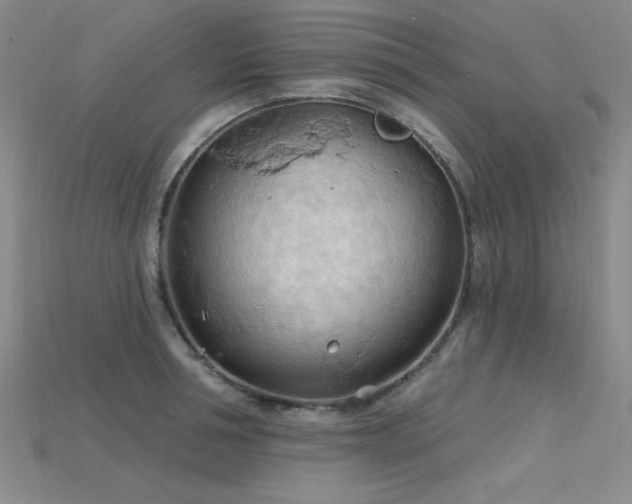 X0000115790994200911131304