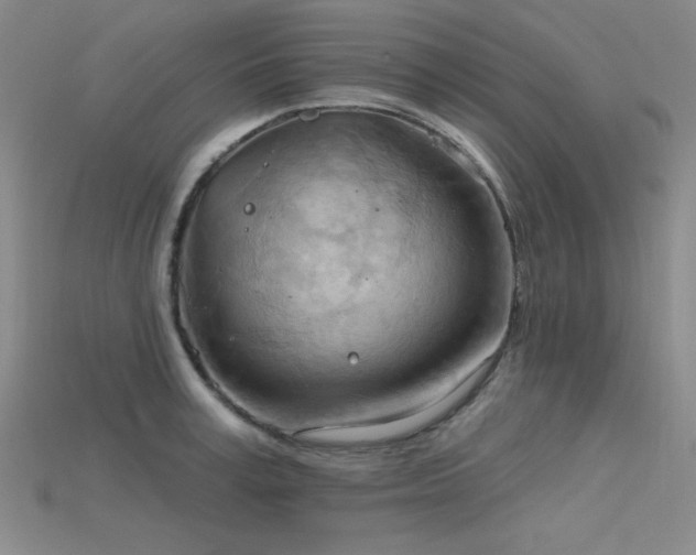 X0000115790995200911131304