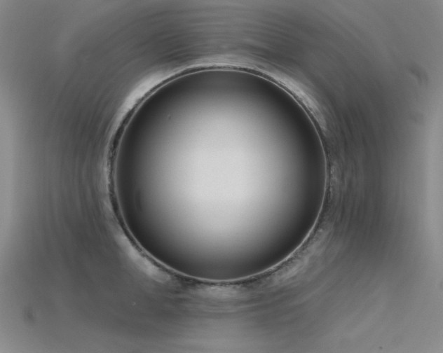 X0000115790998200911131304