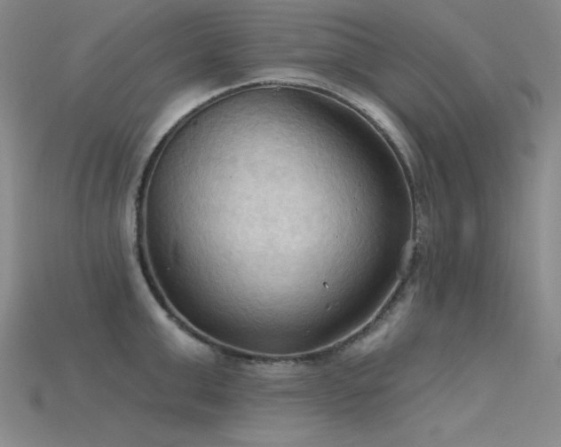 X0000115790999200911131304