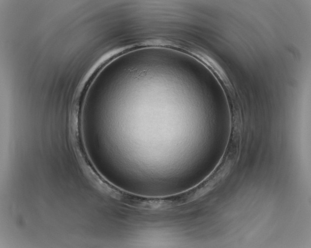 X0000115791000200911131304