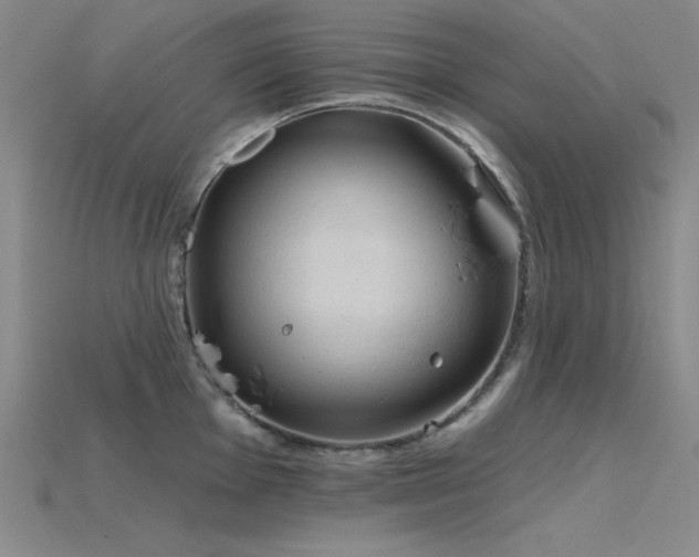 X0000115791001200911131304