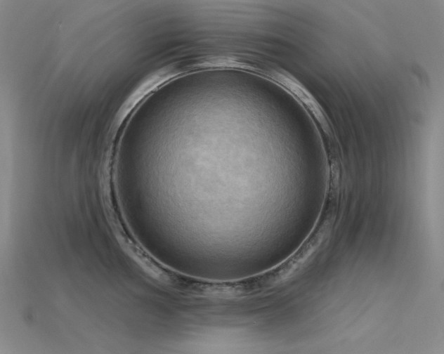 X0000115791002200911131304