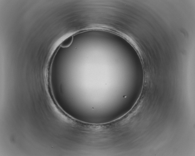 X0000115791003200911131304