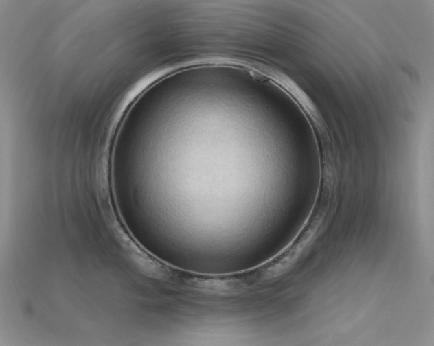 X0000115791004200911131304