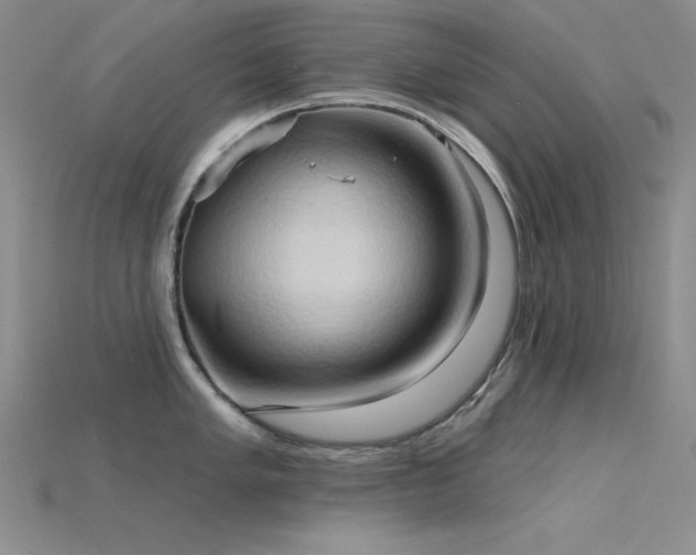 X0000115791005200911131304