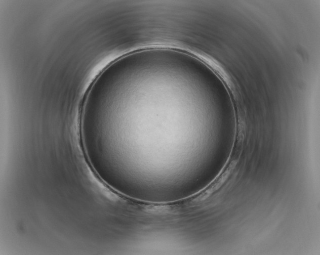 X0000115791006200911131304