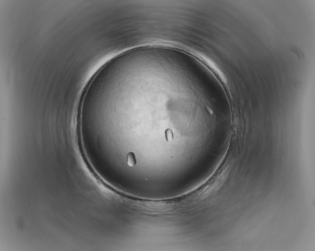 X0000115791007200911131304