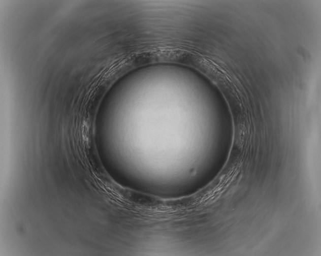 X0000115791010200911131304