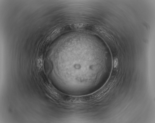 X0000115791011200911131304