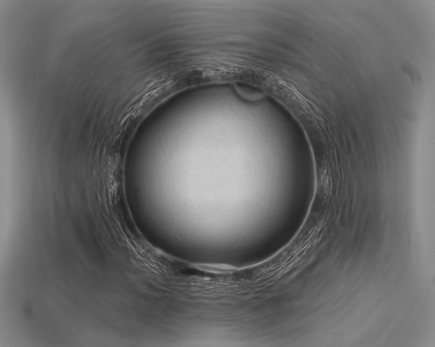 X0000115791012200911131304