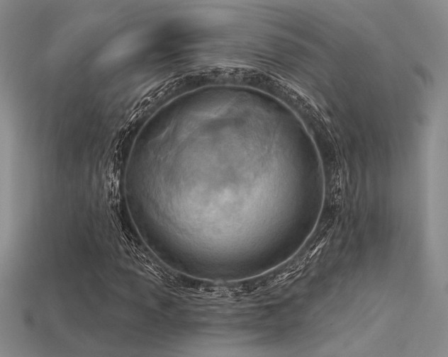 X0000115791013200911131304