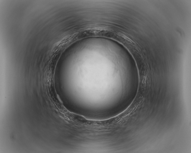 X0000115791014200911131304