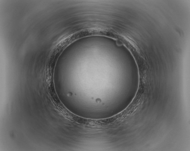 X0000115791015200911131304