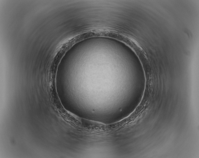 X0000115791016200911131304