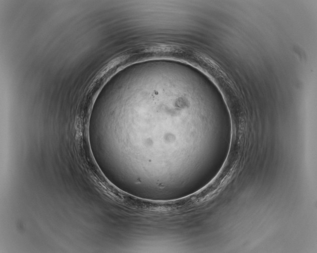 X0000115791017200911131304