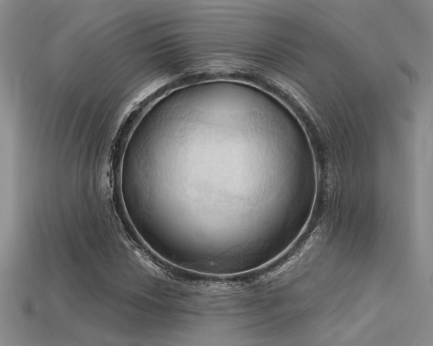 X0000115791018200911131304