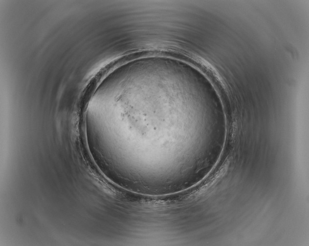 X0000115791019200911131304