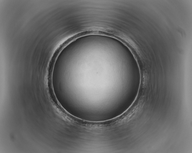 X0000115791020200911131304